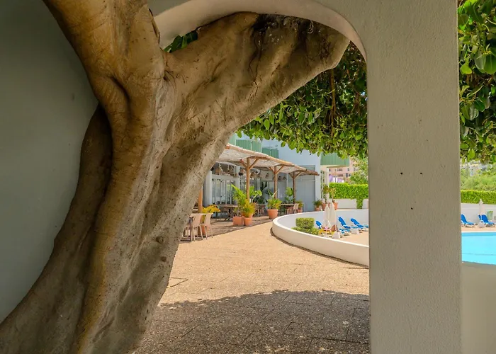 Sol Da Rocha 3 Castelos 아파트 *